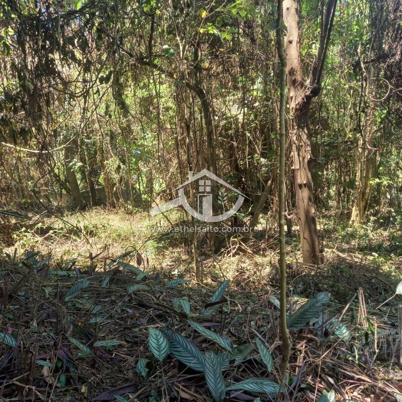 Terreno venda Mata Fria Mairiporã Terreno venda Mata Fria Mairiporã