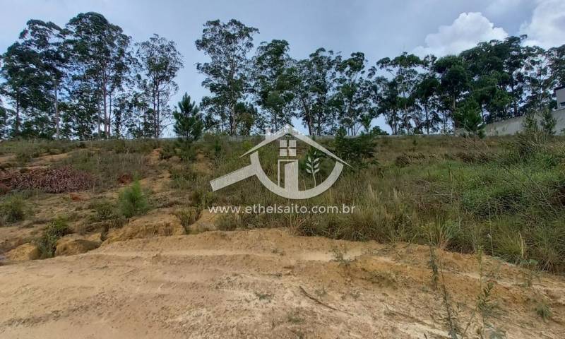 Mairiporã Terreno em Condomínio venda Rio Acima
