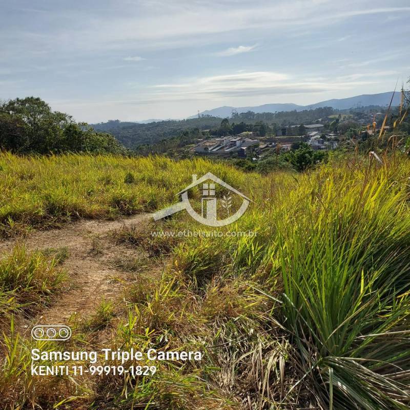 Terreno venda Mato Dentro - Referência 205AKS0515