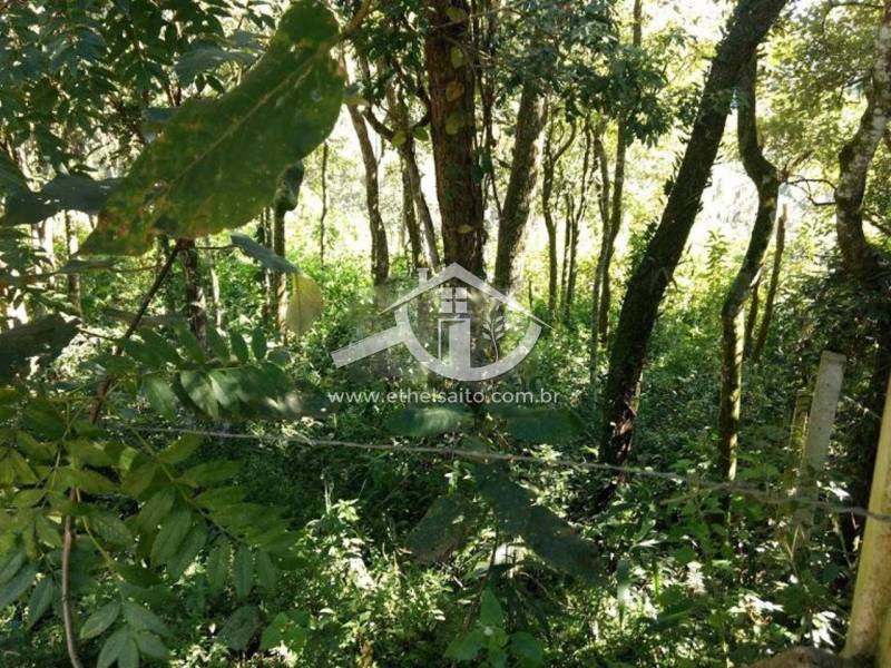 Terreno venda Pirucaia Mairiporã Terreno venda Pirucaia Mairiporã