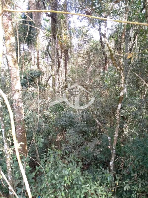 Terreno venda Luiz Fagundes Mairiporã Terreno venda Luiz Fagundes Mairiporã