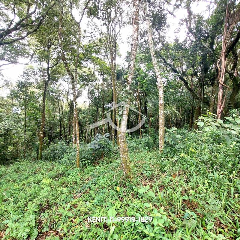 Terreno venda Mato Dentro - Referência 289AKS0498