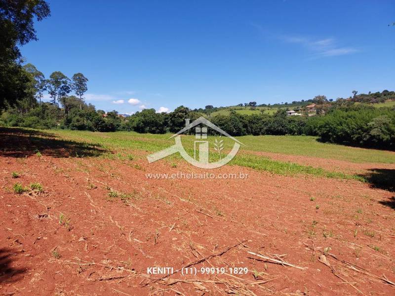 Terreno venda Palmeiral - Referência 295AKS0504