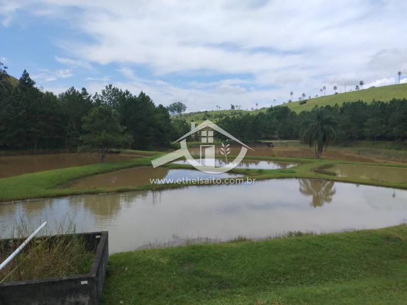 Sítio venda BELA VISTA - Referência 309AKS0418