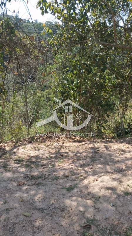 Terreno em Condomínio venda Caraguatá - Referência 382AKS0554