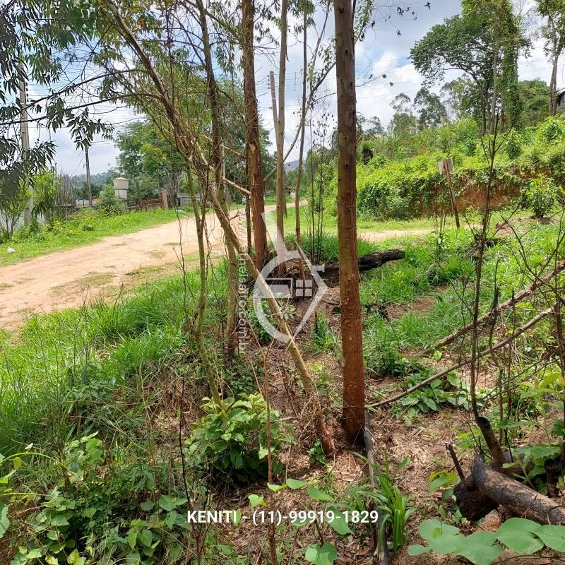 Terreno venda Jardim Sinki - Referência 384AKS0556