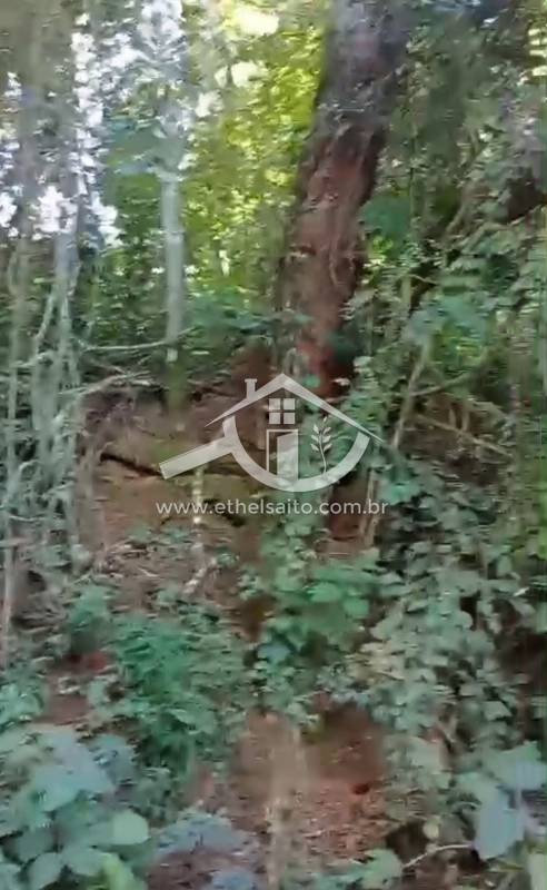 Terreno venda Olho D'Água - Referência 421AKS0593