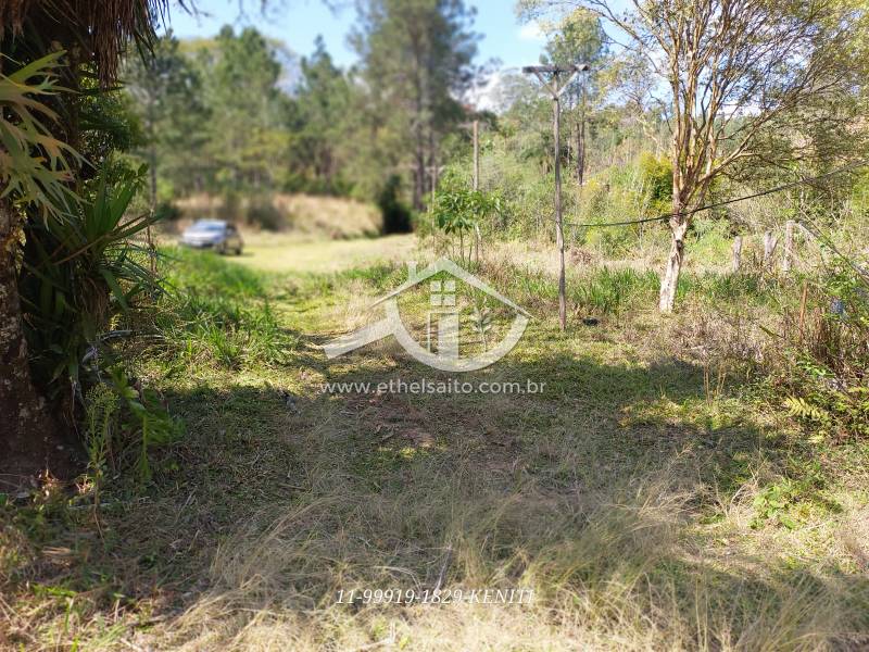 Terreno com Edícula venda Rio acima - Referência 447AKS0573