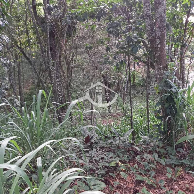 Terreno venda Rio Abaixo Mairiporã Terreno venda Rio Abaixo Mairiporã