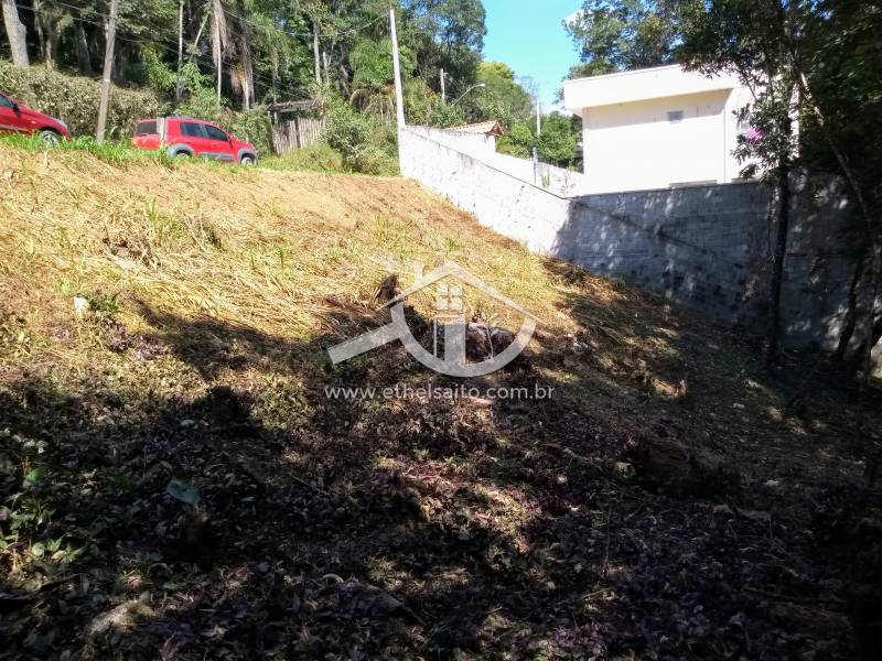 Terreno em Condomínio venda Pirucaia - Referência 76AKS0136