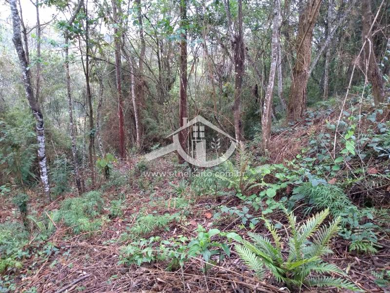 Terreno venda Pirucaia Mairiporã Terreno venda Pirucaia Mairiporã