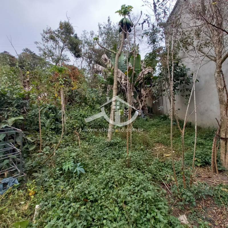 Terreno venda Mata Fria Mairiporã Terreno venda Mata Fria Mairiporã